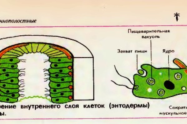 Кракен наркоз магазин