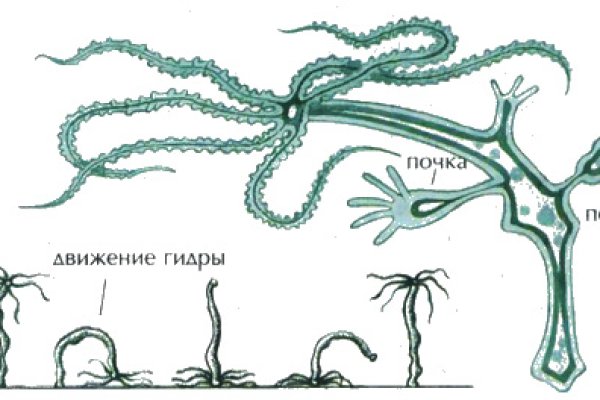 Пополнить кошелек кракен