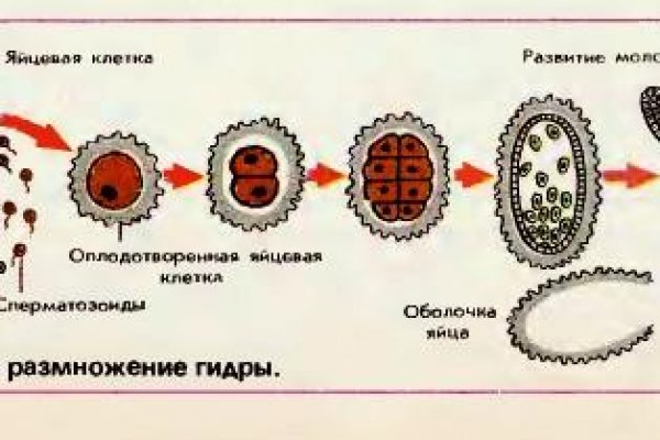 Кракен даркет