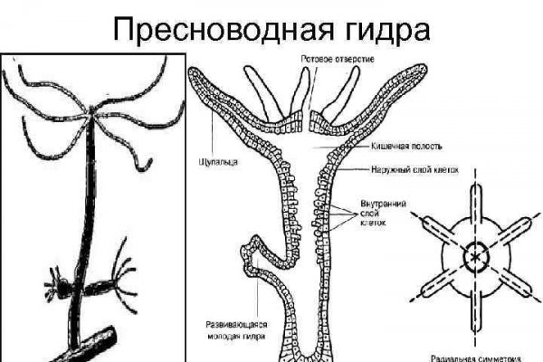 Кракен at сегодня работает ли