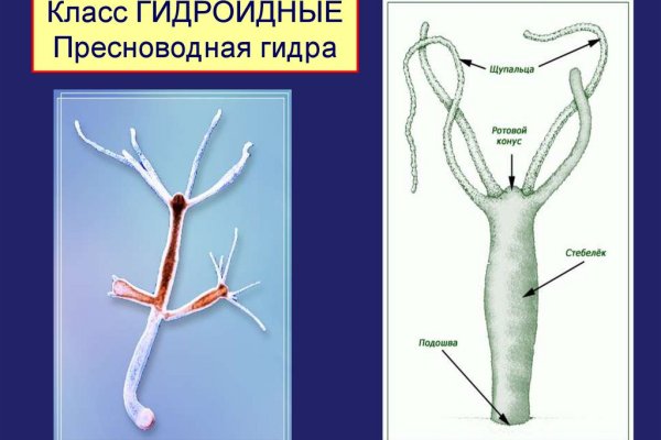 Кракен нарка шоп